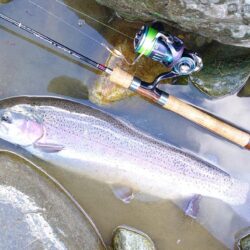 放流日の天竜川ルアーフライテンカラ専用区